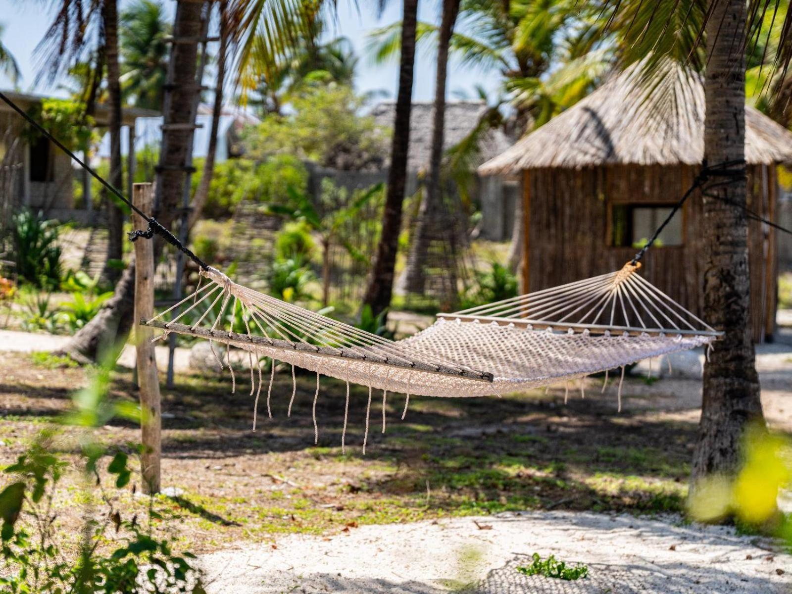 Shanuo Lodge Michamvi